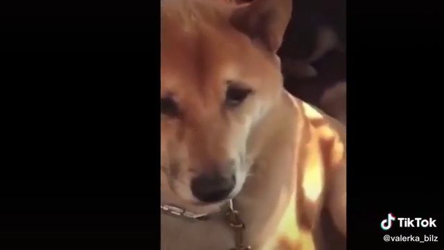 если ты засмеёшься то у тебя шиза