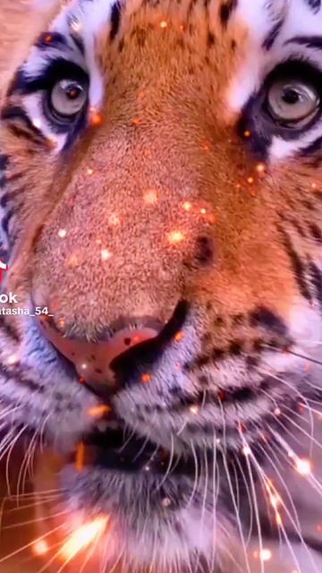 Lv_6974606523985087746_20250424203019.mp4