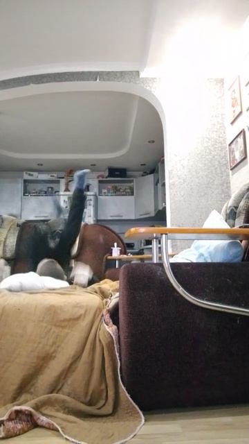 Лучший Тимур