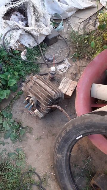 31 июля 2024 г.