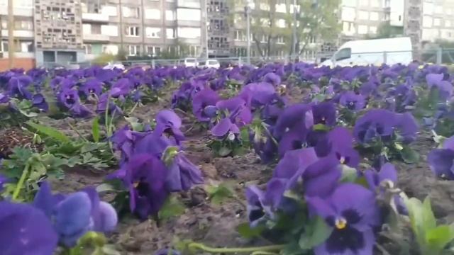 Be819fa3db08b972206f18df26068ef0