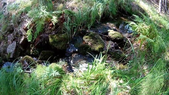 Родники.Южный склон Кокшетау