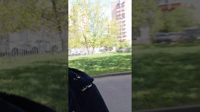 неподопотный человек