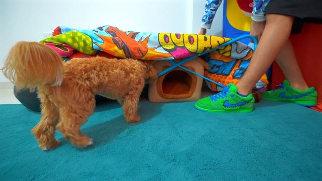 артур и давид - Wasq14