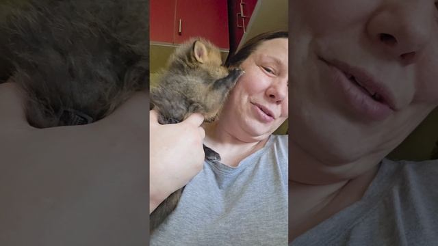 я с лисёнком