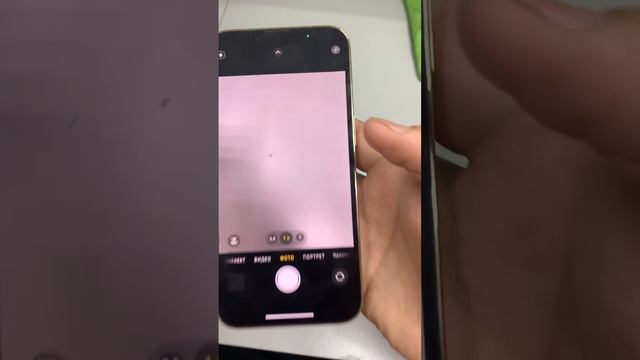 -6984832755616630784