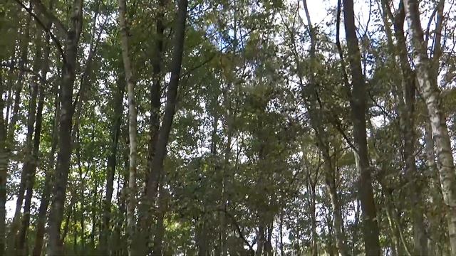 158. Пейнтбол в Англии, это как? Чем заняться в выходные, если заняться нечем?