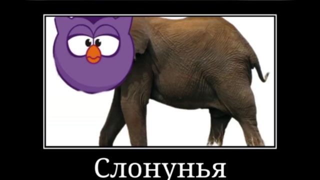 Сборник Мультики + ШИЗА =