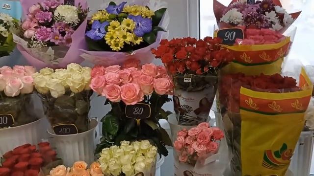 Декабрьский день Цветы Снег