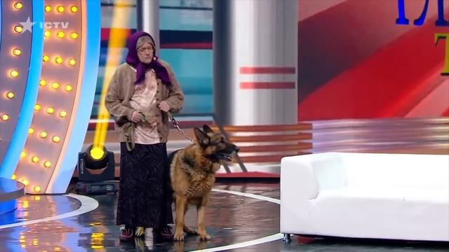 ДРУЗІ ПАТРОНА   Собаки - чудовий антистрес! ДИЗЕЛЬ ШОУ  Найкраще!