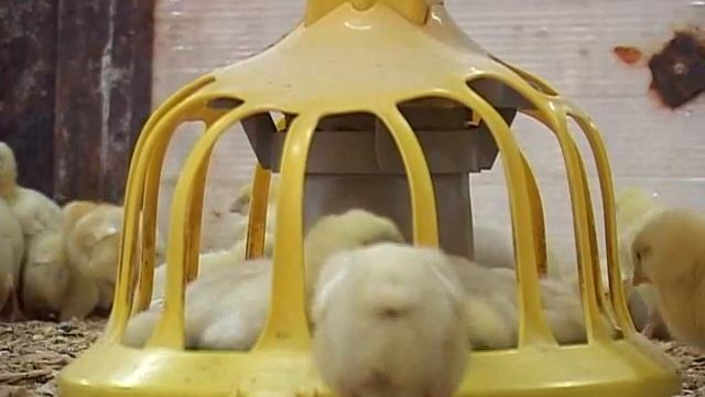 «Новости 19:32» 25.09.14