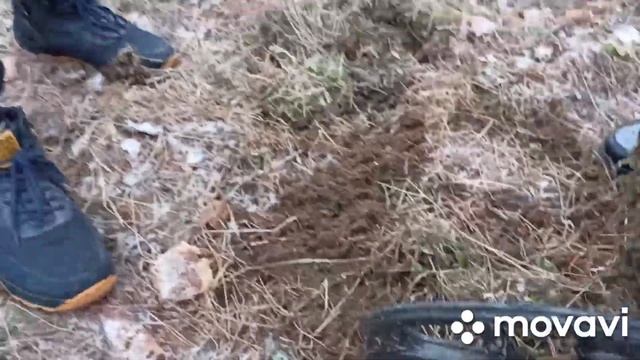 #Юные#_#копатели 🤗🤗🤗#young_treasure_hunters#treasure _hunters #Schatzjäger #coin Search