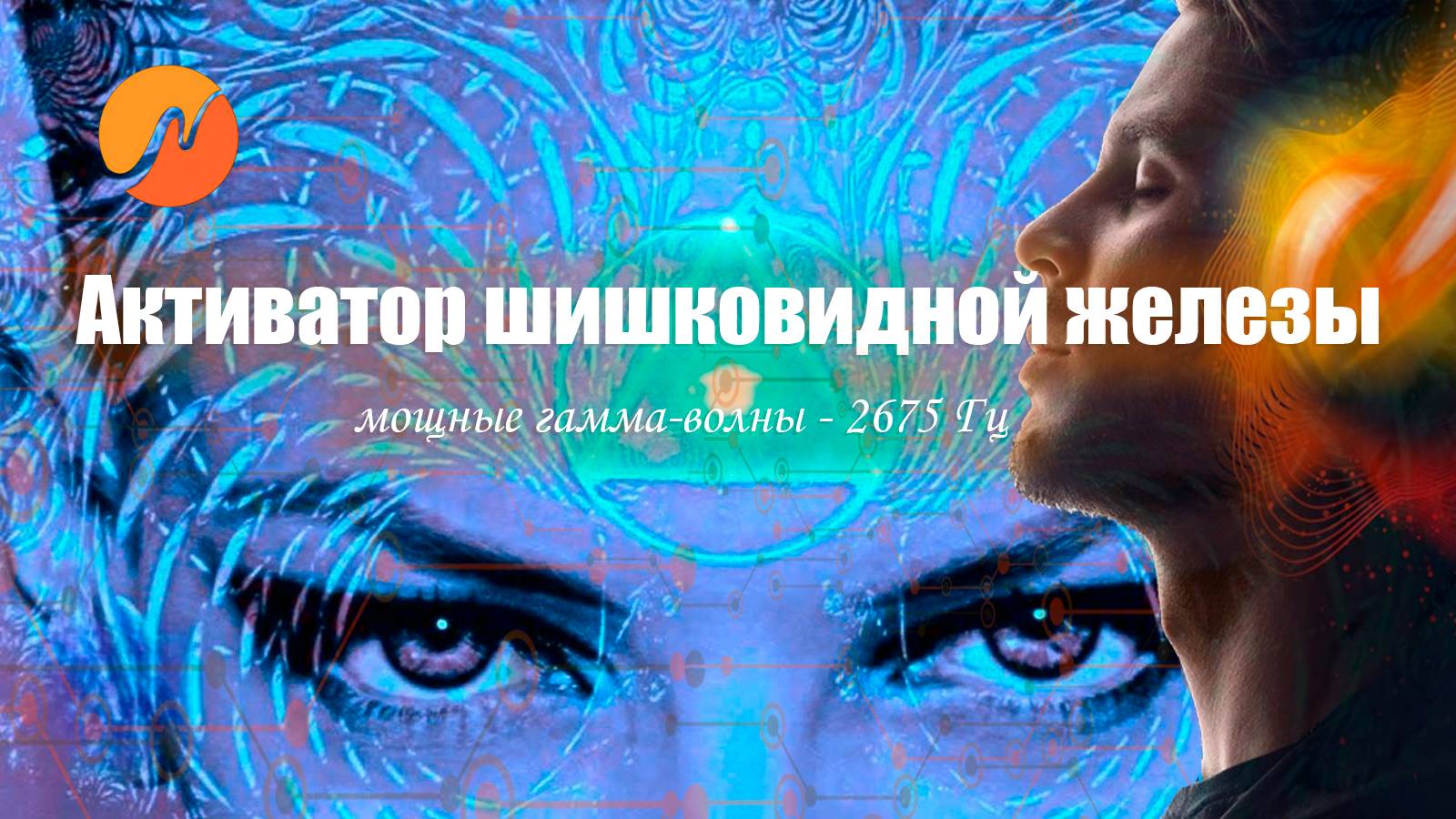 49e41ebff5143cf349730e1ff20396e1