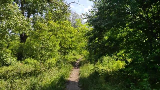 Bf137f5632cad1cf256e7616e78768e1