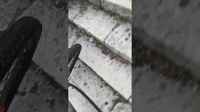 E3babc8e90740ac6433a4f6a15a513ab