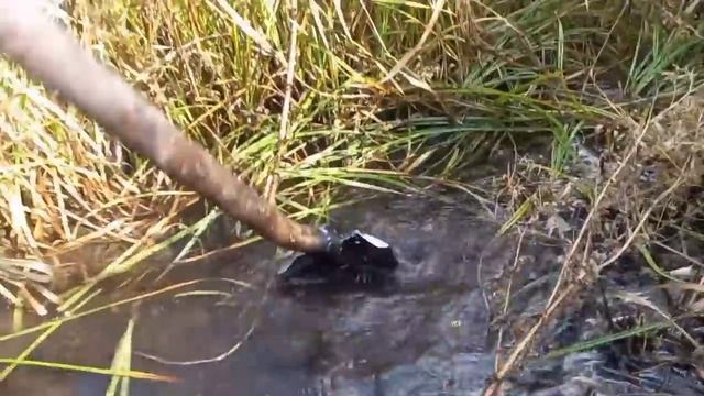 71edd826891f272ce9fcaf6378cc791d