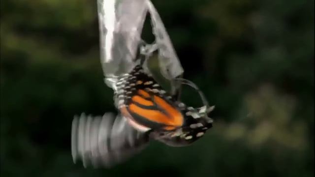 Самадхи. Постижение истины