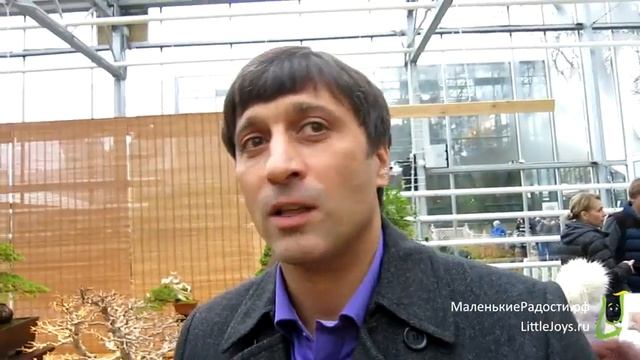 Выставка японских бонсай «Мир в глиняной плошке», 2015 - 2016 год