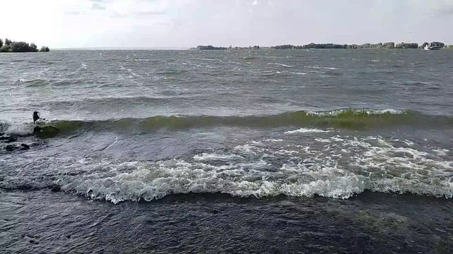 Кристина Кошечкина