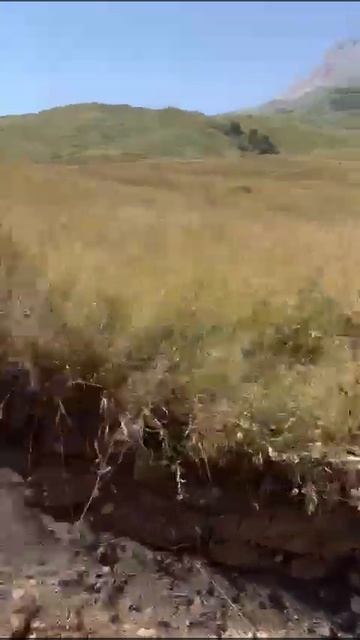 дорога в Шалбуз-Даг