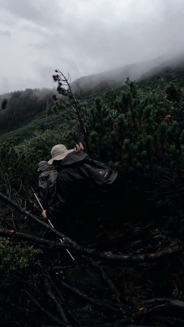 Сходження на Говерлу