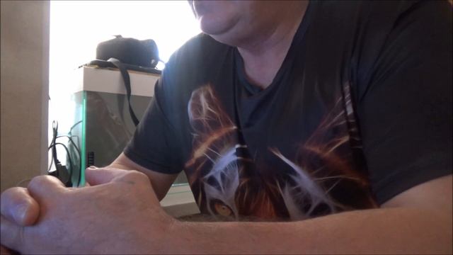 исправленному - верить \\10