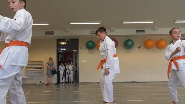 Karate Egzamin Na Zielony Pas