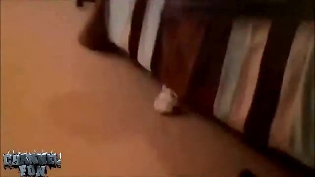 A37e0f435bbf944dba46b1acfa848888