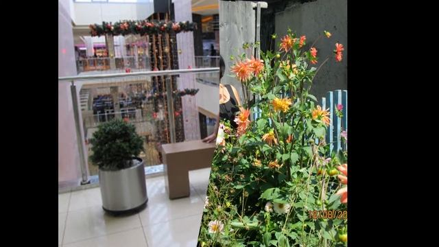 Наташа, с Праздником тебя!