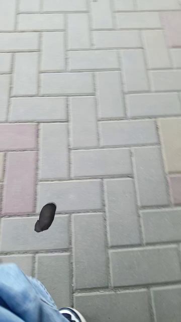 кот батончик 2 часть