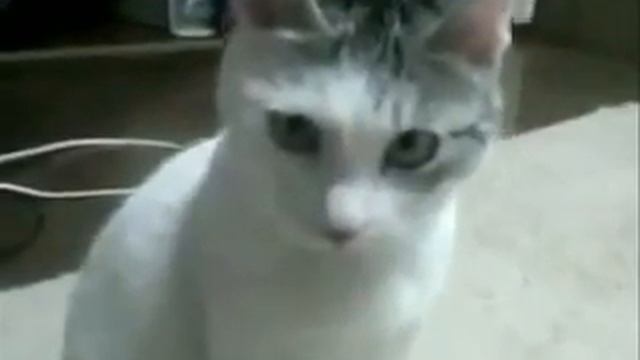 Зарплаты не будет!!!! О О