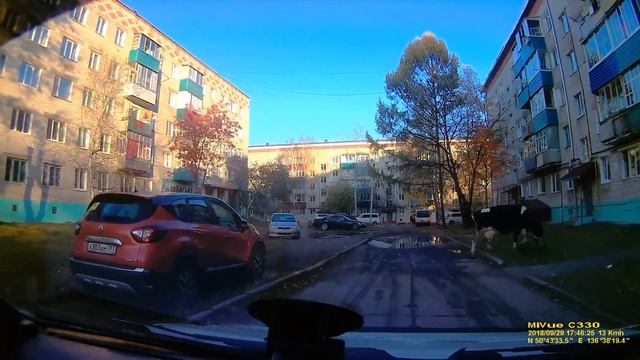 Классные тёлки ХХХ из Солнечного ( 18+). Только для взрослых)))