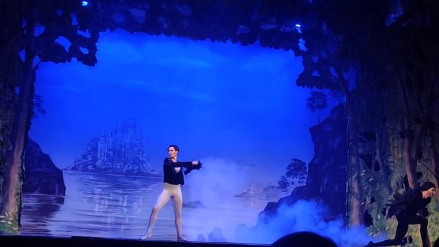 Борьба Принца и Волшебника