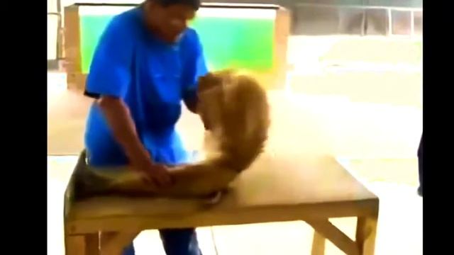 ВОТ ПРИКОЛ выпуск 1 067 Менты, свадебные, рыбацкие приколы и с видеорегистраторов. Под пивко.