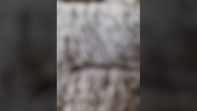 крутой трек андер реп хип хоп гуф ну послушай же ГУФ ЛЕХА ДОЛМАТОВ МОСКВА