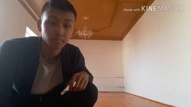 КАК СТОЯТЬ НА РУКАХ ?!