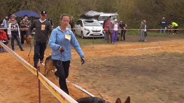 Ad342c92d08458256767a472c3bef952