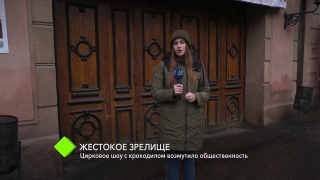 Жестокое зрелище: цирковое шоу с крокодилом возмутило общественность