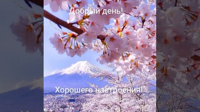 Добрый день! Хорошего настроения!