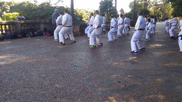 Karate City Nakayama Junho 2019 Sensei Vieira Parte7