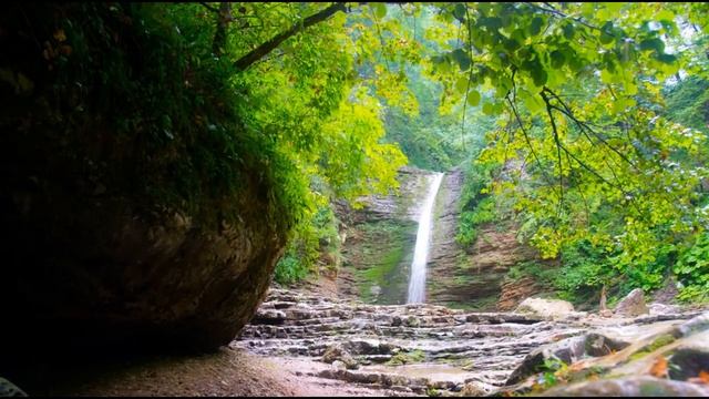 9009d00c0ab2d71bdd26488118bec18e