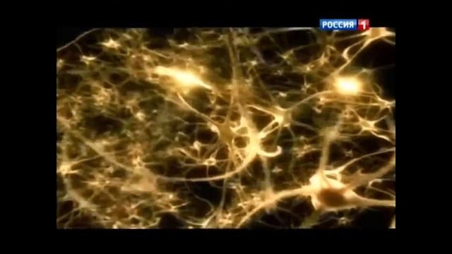 Интересно о привычном С В Савельев влияние соли на человека