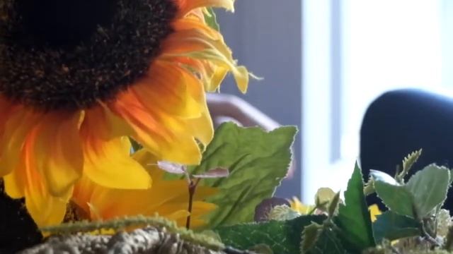 Фотосессия для Подснежника