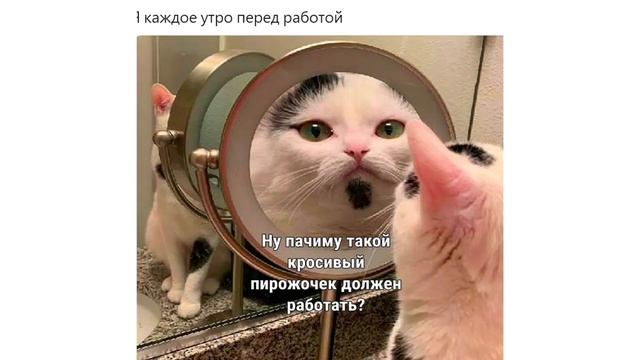 Проста Читаю прикольные  Мемчики и Смеюсь! ахаха! Я смеялся миллион лет! до н.э 😂