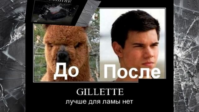 51f5478bf18baf8b66c1e3861a9c903e