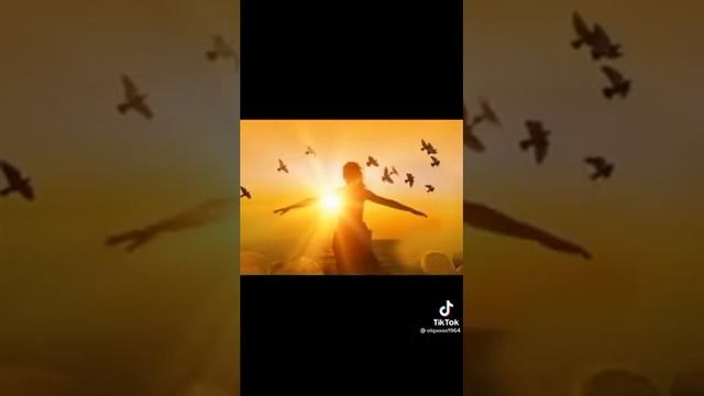 78479fa7c25e097d9517a442f2fb16fc