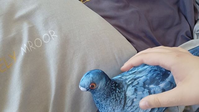 голубь синяк  встреча  голубь  серия  1 сезон 3 блоптоп