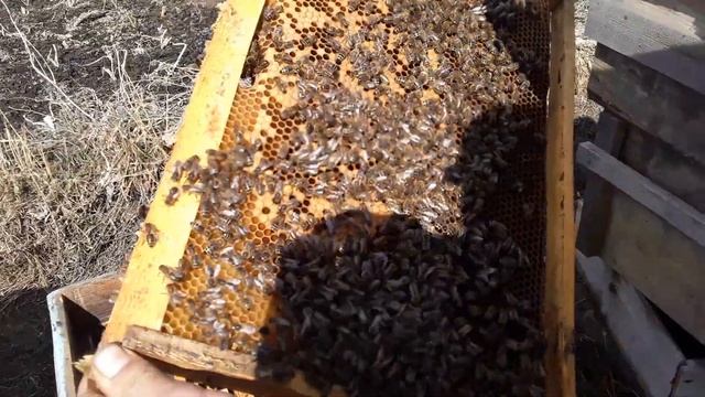 95279084483ac502c0f6f99266aca792