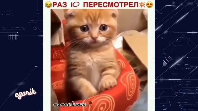 Приколы из Инстаграма  Лучшие Приколы из Инстаграма Лучшие Цитаты Инстаграм #3  [egorik]