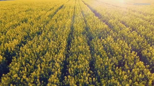 Імідж-відео компанії PÖTTINGER [UA]